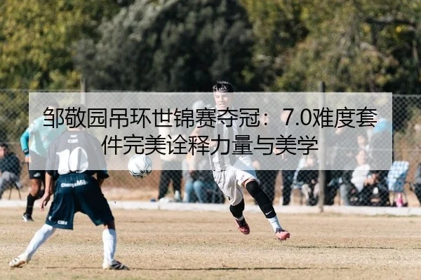 邹敬园吊环世锦赛夺冠：7.0难度套件完美诠释力量与美学